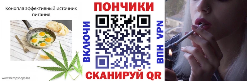 купить наркотик  Бородино  hydra ONION  Cannafood марихуана 