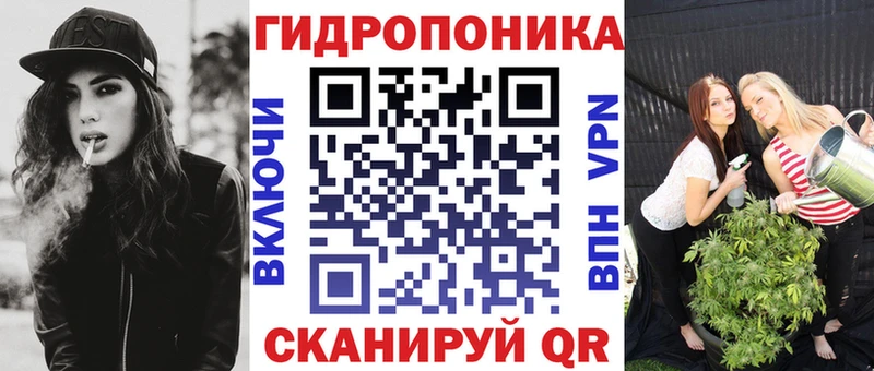 Бошки марихуана сатива Бородино